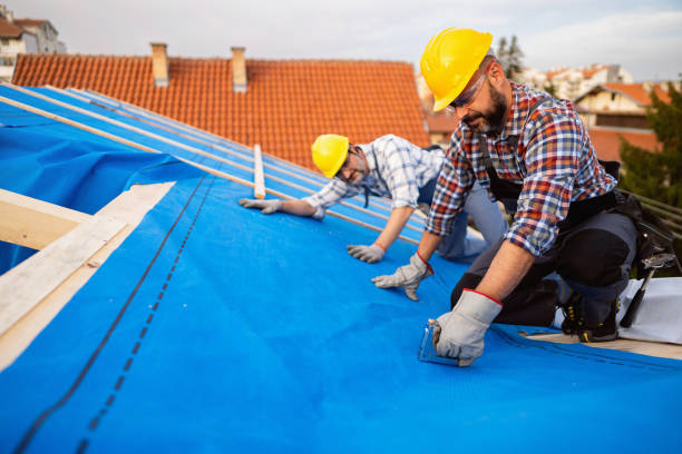 Fast & Reliable Emergency Roof Repairs in Carnesville, GA